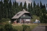 FALLER 130010 - Jubiläumsmodell Schwarzwaldhaus mit Figur - Spurweite H0 - 1