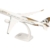 Herpa Snap-Fit Modellflugzeug Etihad Airways Airbus A350-1000 - A6-XWC, Miniatur im Maßstab 1:200, Sammlerstück, Modell mit Standfuß, Kunststoff, Weiß - 4