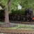 Hornby TT:120 Modelleisenbahn TT3005M BR Klasse A3 4-6-2 60078 „Night Hawk“ – Lokomotiven der 4. Ära, grün - 5