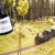 NOCH Gras-Master 3.0 elektrostatisches Begrasungsgerät für Modellbau, Landschaftsbau & Diorama – inkl. Siebe, 9V-Betrieb, für statisches Gras & Modellbahn Gelände (60111) - 2