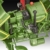 Revell Modellbau Fendt F20 Dieselroß Traktor Click System - 3